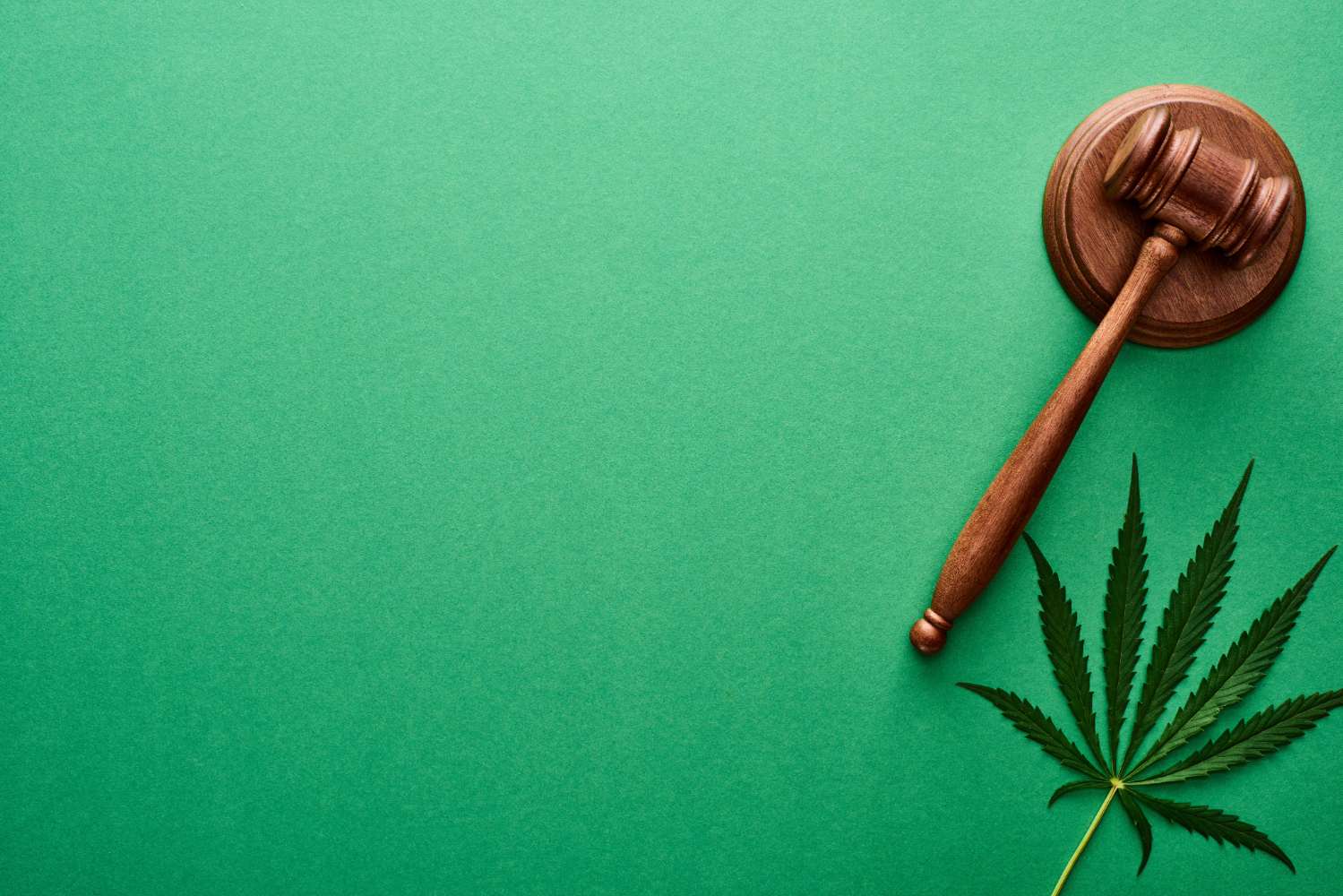 Know Your Rights: Essential Legal Guide for Oklahoma Cannabis Businesses